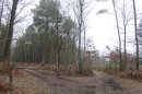 Bois du Mont Mal